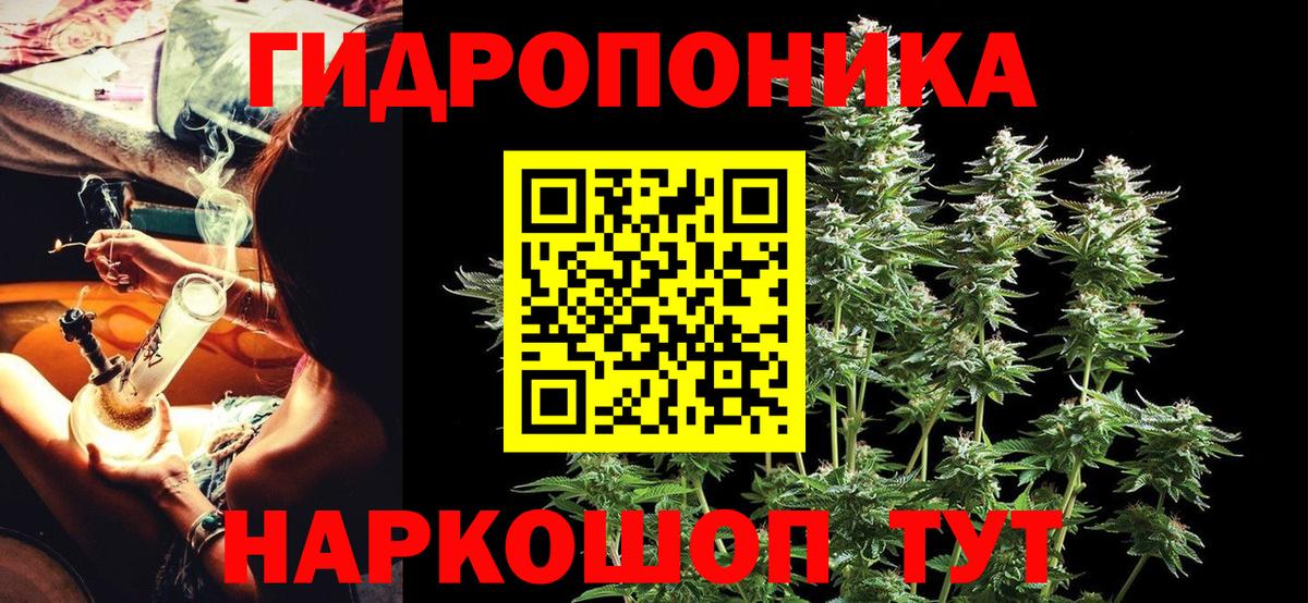 Бошки Шишки тримм  Канабис индика  Вход с VPN  Кострома 
